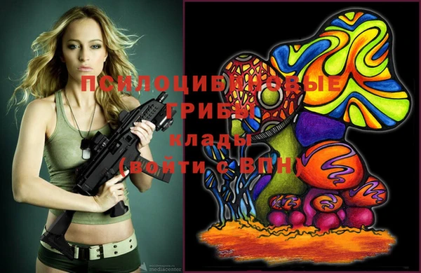 стаф Саяногорск