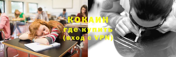 индика Сафоново