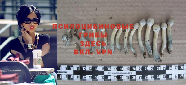 индика Сафоново