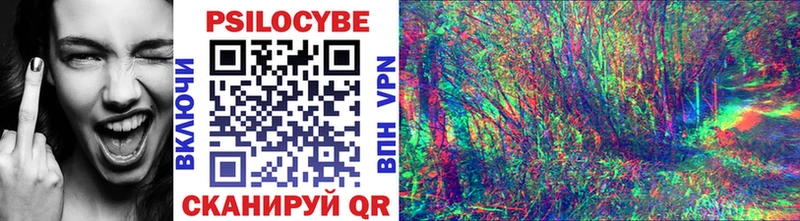 Галлюциногенные грибы Psilocybe  Купить закладки  Салават 